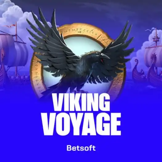 Viking Voyage