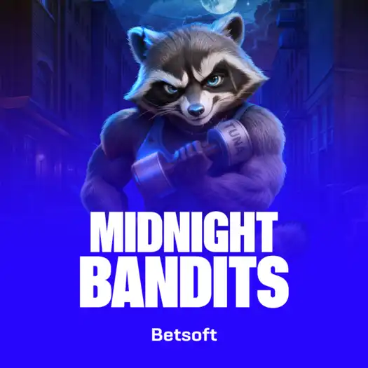 Midnight Bandits