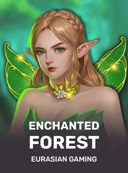 Enchanted Forest