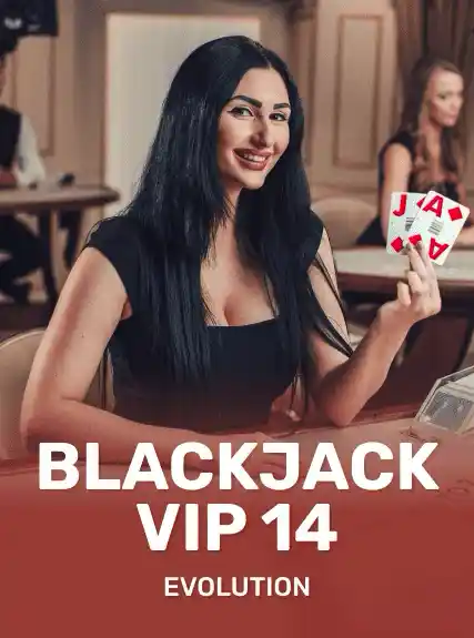 Blackjack VIP 14