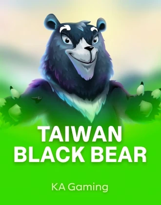 Taiwan Black Bear