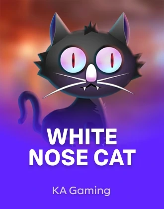 White Nose Cat