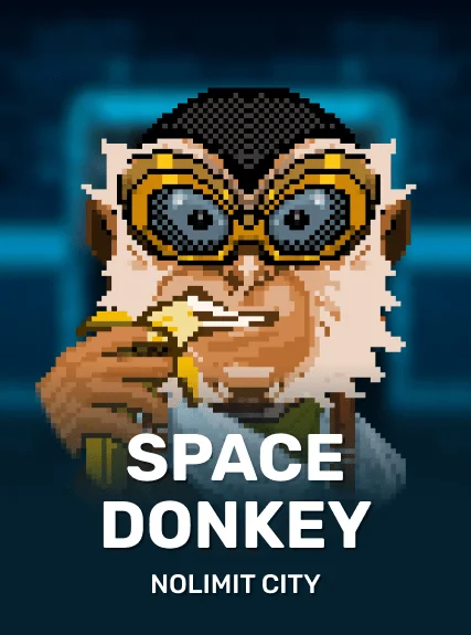 Space Donkey