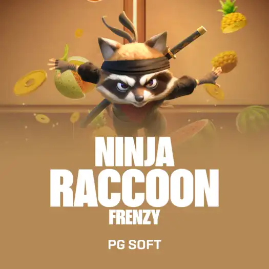 Ninja Raccoon Frenzy