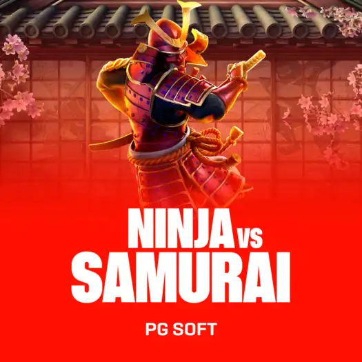 Ninja vs Samurai