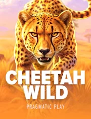 Cheetah Wild