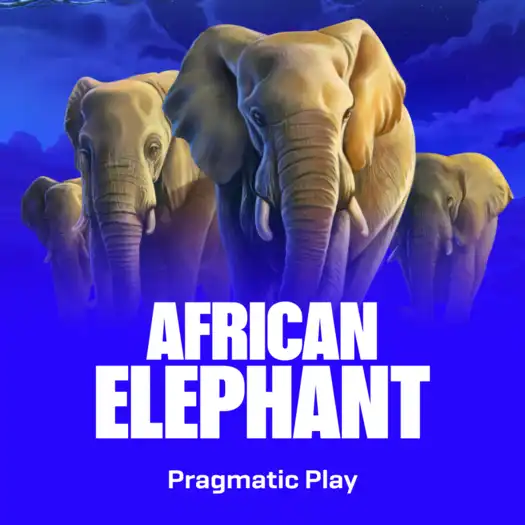 African Elephant