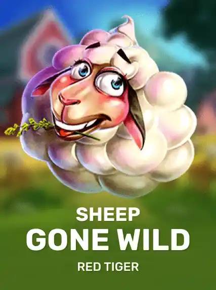 Sheep Gone Wild