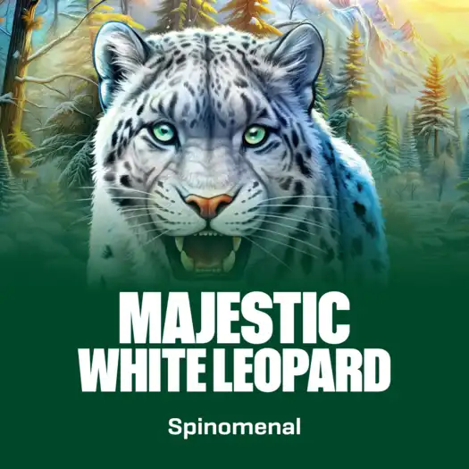 Majestic White Leopard