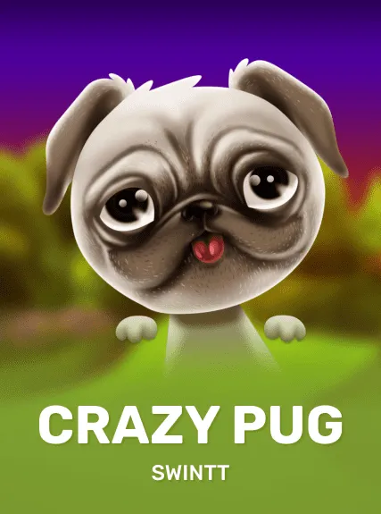Crazy Pug